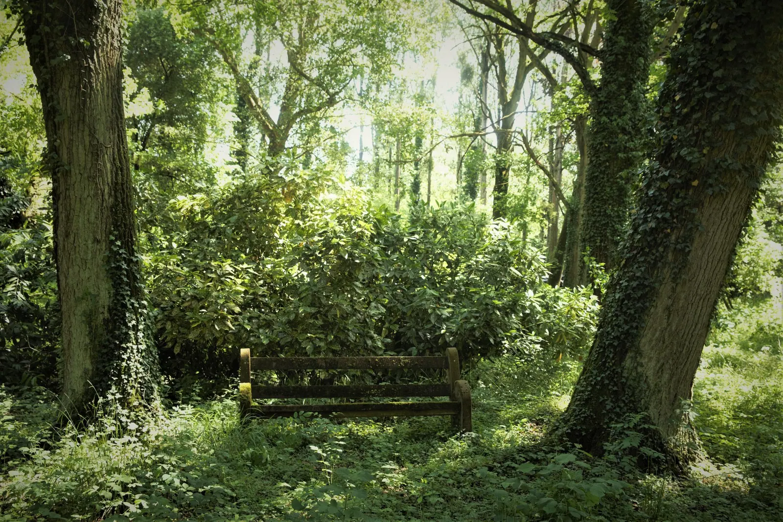 Le banc